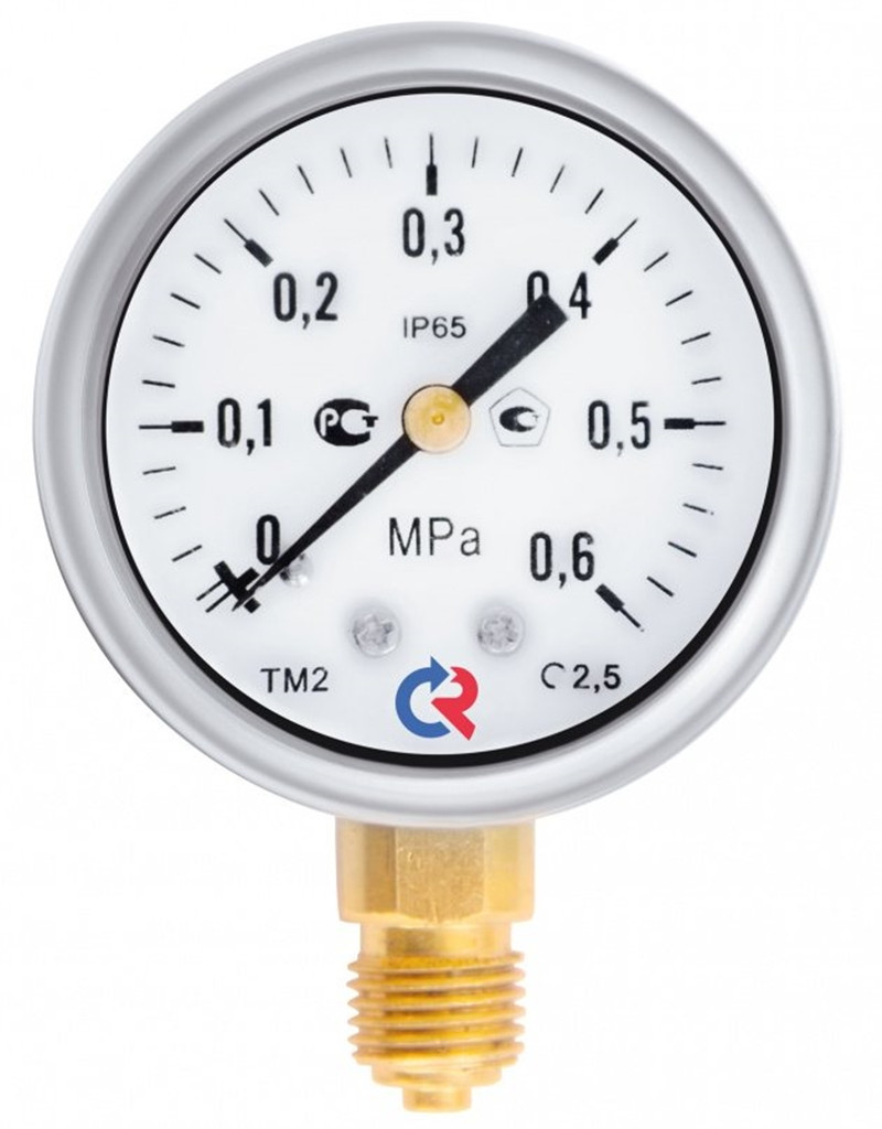 Манометр ТМ-220Р.00(0-6МРа) G1/4.2,5 резьба G1/4 корпус нерж
