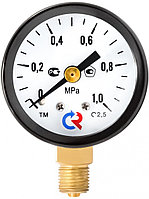 Манометр ТМ-210Р.00(0-25МРа)M12x1,5.2,5. ГАЗ