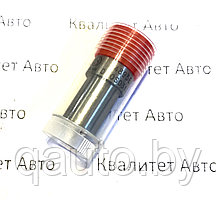 Распылитель форсунки BOSCH Peugeot 2.5 0434250895, DN0SD312, 198485, 198485, 84895E