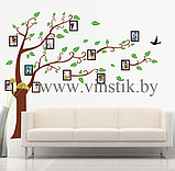 Наклейка на стену «Дерево коричневое с зелеными листиками и с фоторамками XXL», фото 3