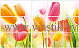 Наклейка интерьерная «Фартук Тюльпаны», фото 7