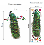 Наклейка на стену «Павлин», фото 2