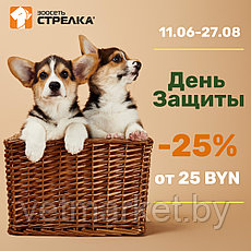 "День Защиты" -25%