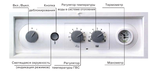 Газовый настенный котел WOLF CGG-3-24 одноконтурный турбо (в комплекте с дымоходом), фото 2