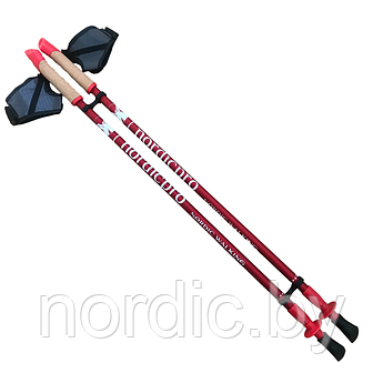 Палки Nordic Pro, ALU, телескопические