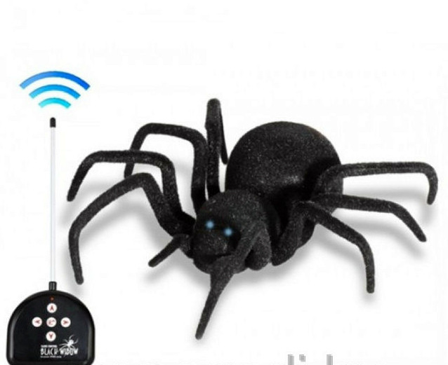 Черная вдова паук на радиоуправлении,Минск - фото 3 - id-p14511378