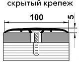 Стык одноуровневый ПС 06 серебро люкс 100мм длина 2700мм, фото 2