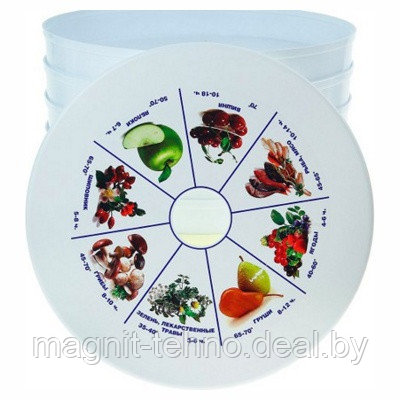 Сушилка для овощей и фруктов Ротор СШ-002 белый - фото 2 - id-p157122756