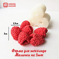 Форма для шоколада Малинки на 3шт