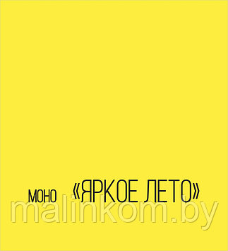 Фотофон "Яркий МОНО" Яркое лето, 100х105 см.