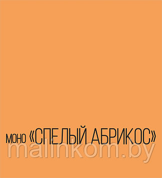 Фотофон "Яркий МОНО" Спелый абрикос, 100х105 см.