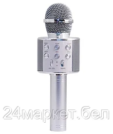 MA3001SR Микрофон Belsis