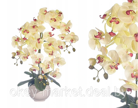 Цветочная композиция из орхидей в горшке 4 ветки R-106, фото 3