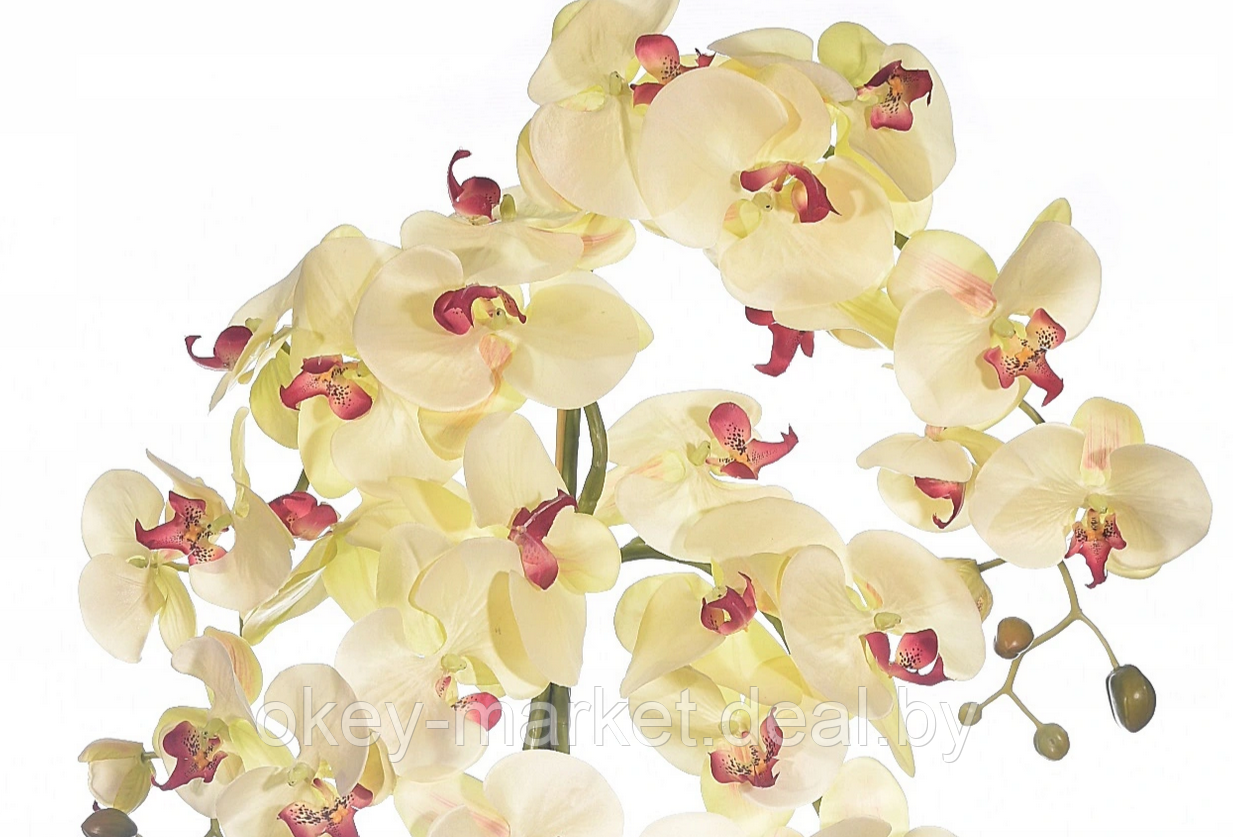 Цветочная композиция из орхидей в горшке 4 ветки R-106 - фото 6 - id-p157218087