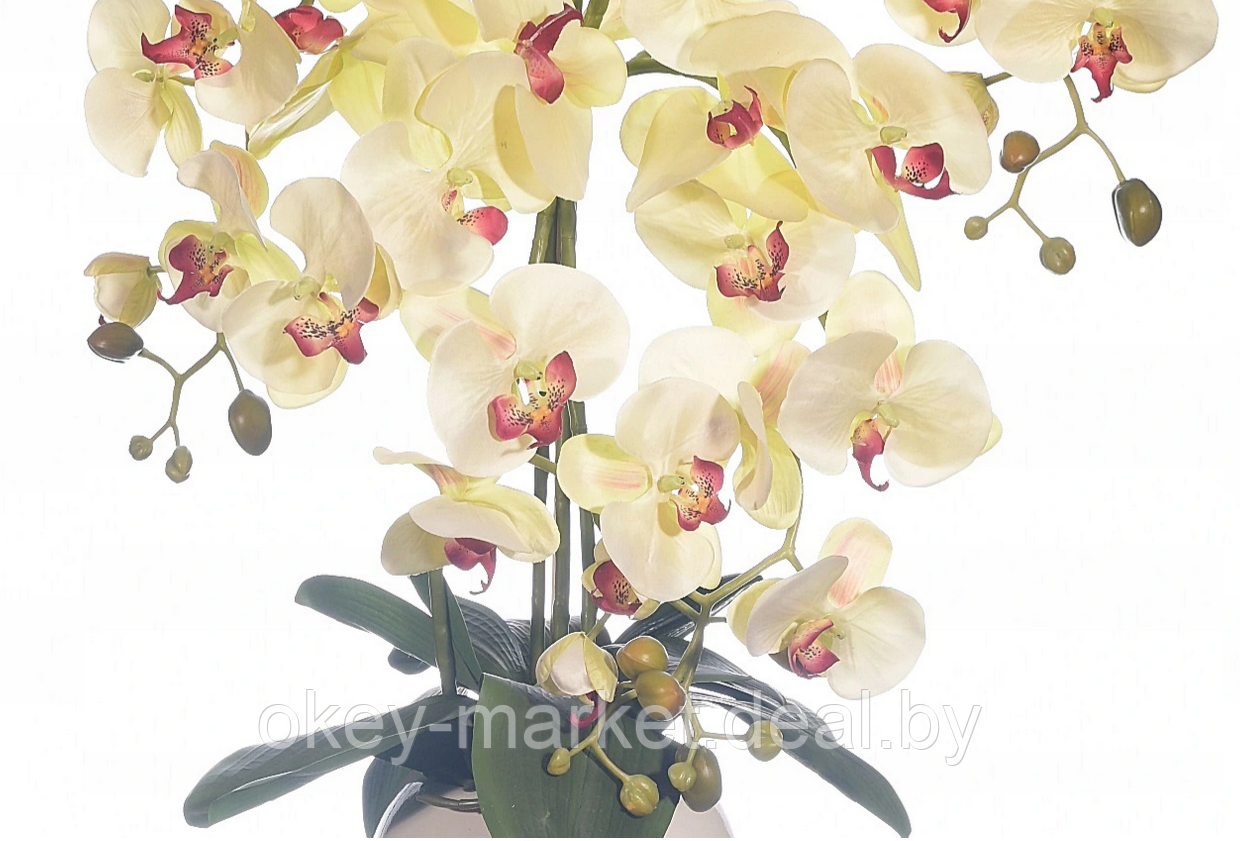 Цветочная композиция из орхидей в горшке 4 ветки R-106 - фото 7 - id-p157218087