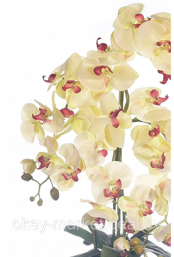 Цветочная композиция из орхидей в горшке 4 ветки R-106 - фото 9 - id-p157218087