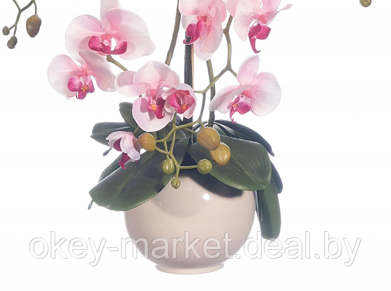 Цветочная композиция из орхидей в горшке  R-101, фото 3