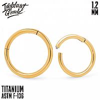 Кольцо-кликер Gold Implant Grade 1.2 мм титан+PVD (1.2*9 мм)