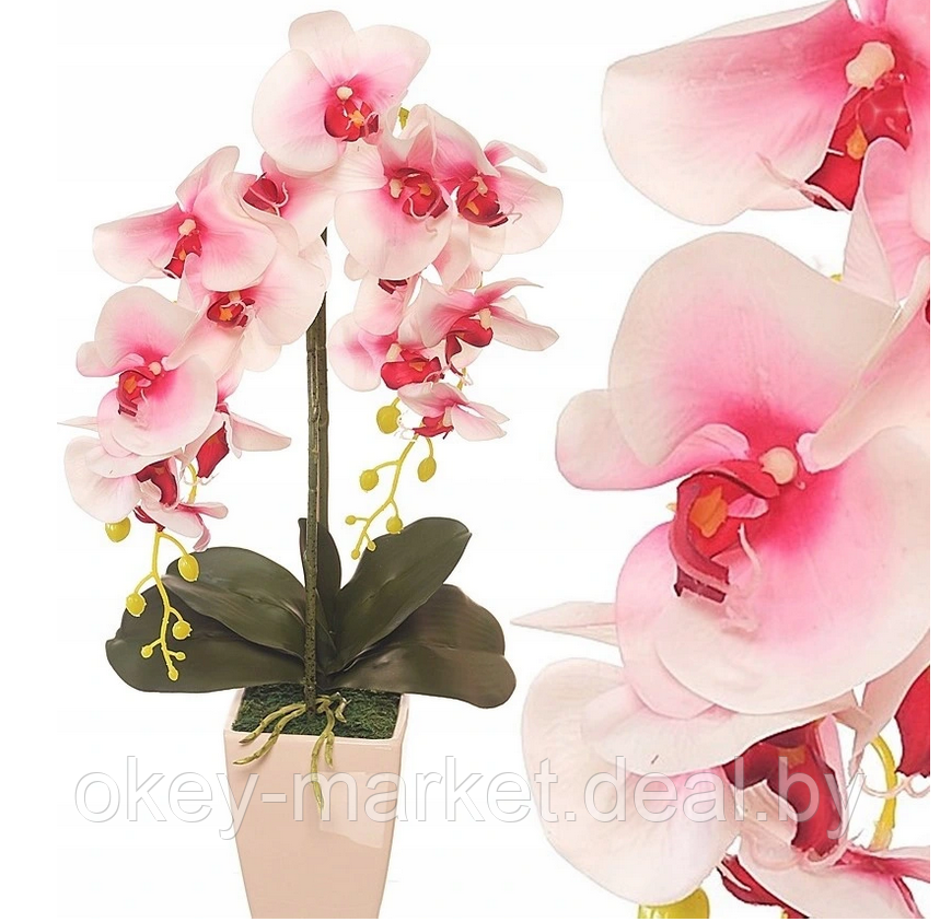 Цветочная композиция из орхидей в горшке R-44 - фото 3 - id-p157333651