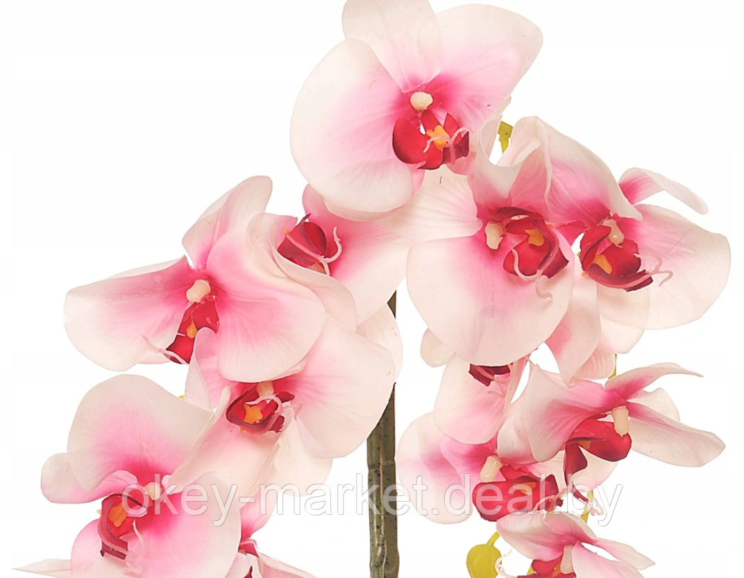 Цветочная композиция из орхидей в горшке R-44 - фото 4 - id-p157333651