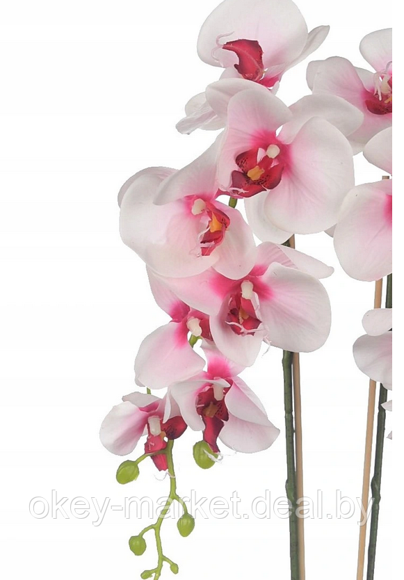 Цветочная композиция из орхидей в горшке R-400 - фото 4 - id-p157333687