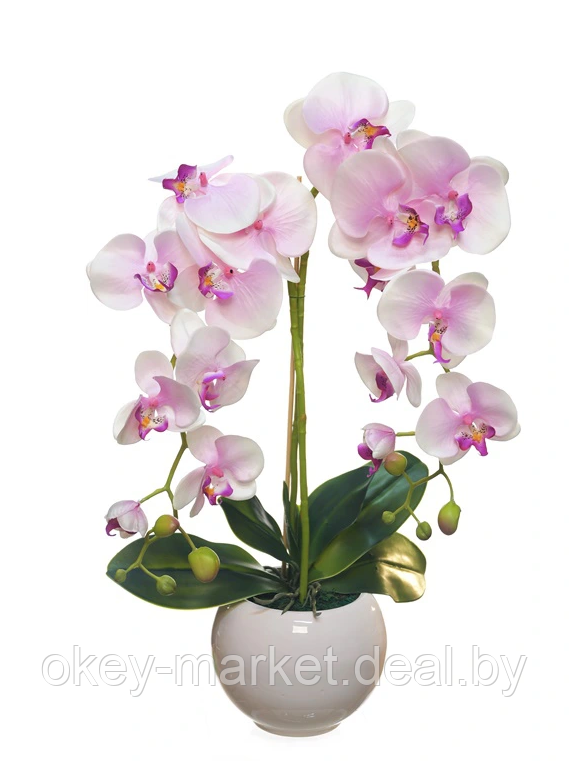 Цветочная композиция из орхидей в горшке F-18 - фото 4 - id-p157334308