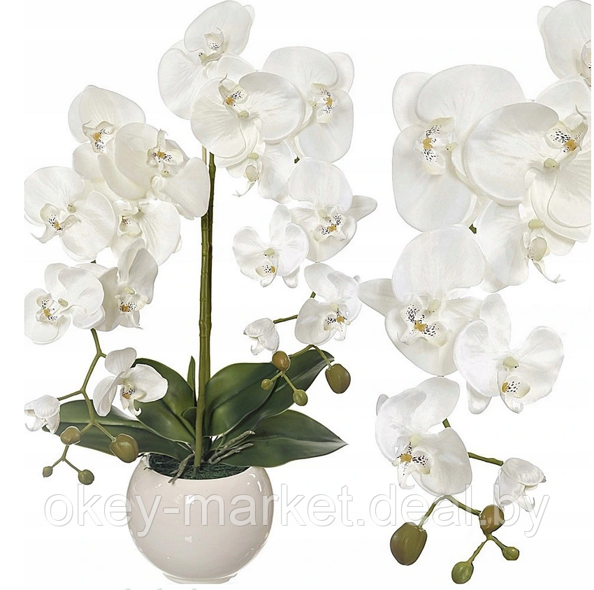 Цветочная композиция из орхидей в горшке F-2 - фото 2 - id-p157334317