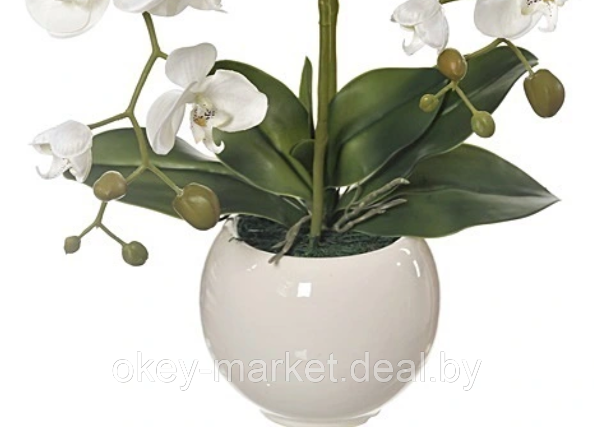 Цветочная композиция из орхидей в горшке F-2 - фото 6 - id-p157334317