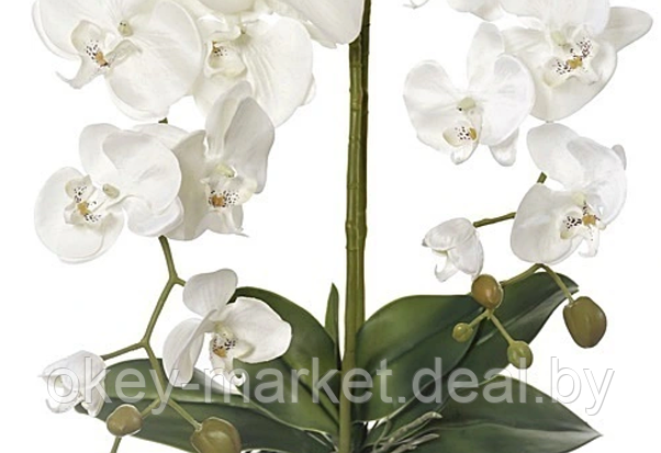 Цветочная композиция из орхидей в горшке F-2, фото 2