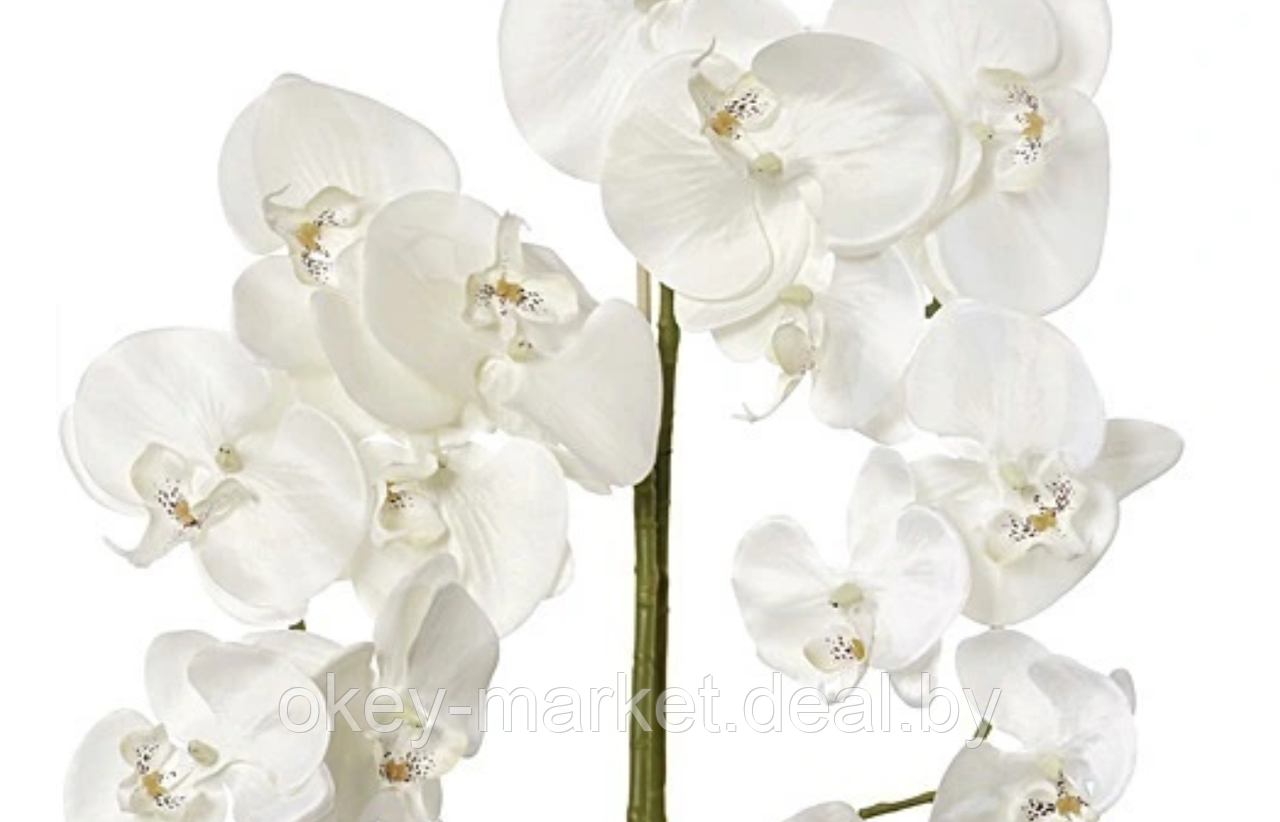 Цветочная композиция из орхидей в горшке F-2 - фото 5 - id-p157334317