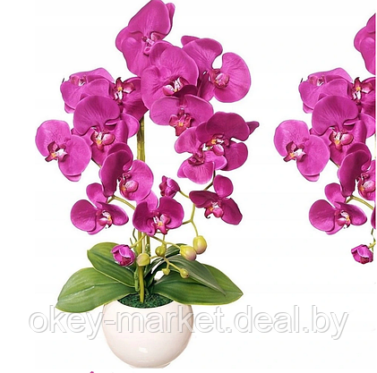Цветочная композиция из орхидей в горшке F-1, фото 2