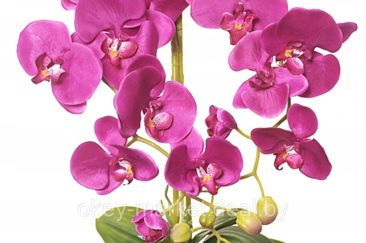 Цветочная композиция из орхидей в горшке F-1 - фото 5 - id-p157334411