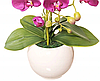 Цветочная композиция из орхидей в горшке F-1, фото 2