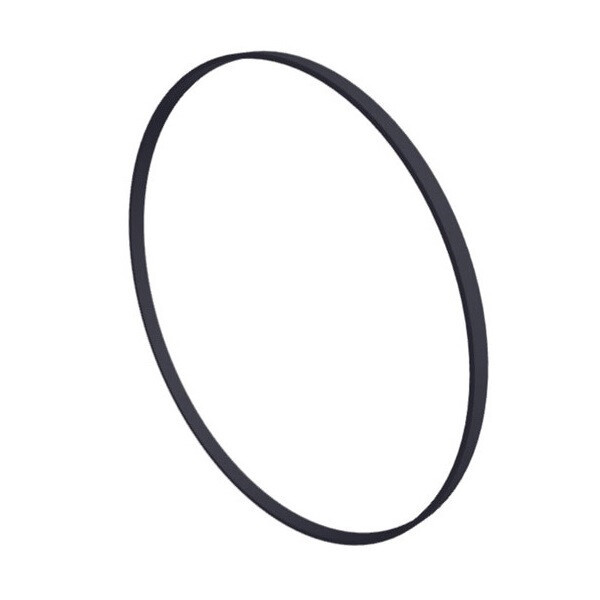 Уплотнительное кольцо Hayward (SPX1600T) - фото 1 - id-p157393637