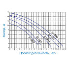 Насос Hayward PL 81007 (220В, 17.2 м3/ч, 1.5HP), фото 3