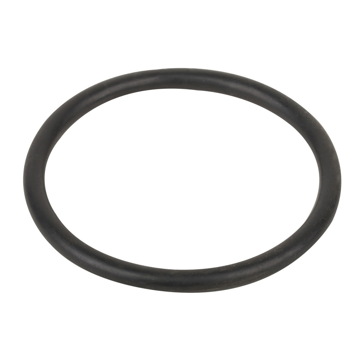 Уплотнительное кольцо соединительной муфты насоса Aquaviva VWS\STP 150-300 - фото 1 - id-p157393709