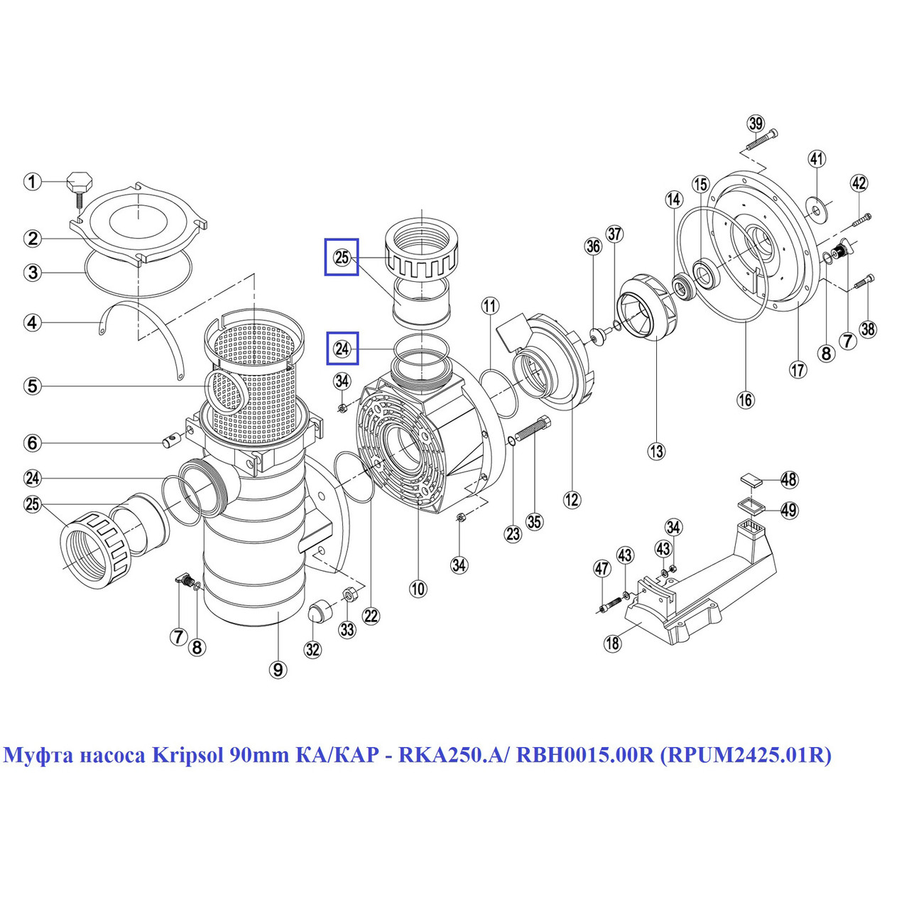 Муфта насоса Kripsol KAN - RPUM2425.02R / RBH0015.03R, 100 мм - фото 2 - id-p157393753