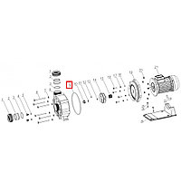 Уплотнительное кольцо корпуса насоса Aquaviva ZWE\WTB