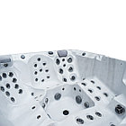 Гидромассажный бассейн IQUE Dreamline-II 2200-II-DD-BPM (WiFi+MICROSILK) (220х220х96 см), Brushedwalnut, фото 4