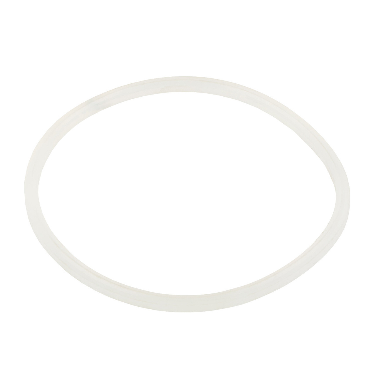 Уплотнительное кольцо AquaViva хлоратора SSC 2021044 - фото 1 - id-p157396044