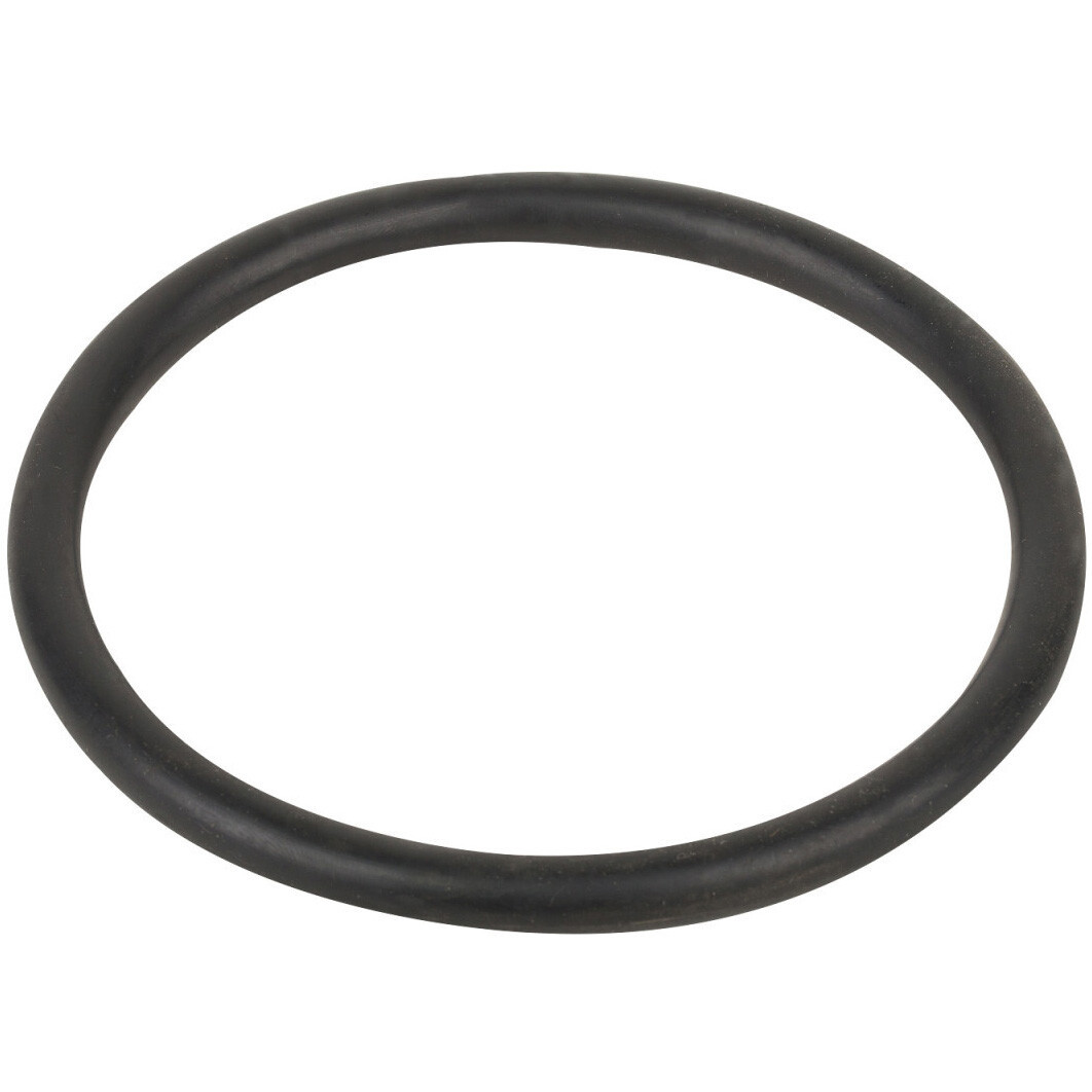 Уплотнительное кольцо соединительной муфты насоса Aquaviva LX WP500-I - фото 1 - id-p157394222