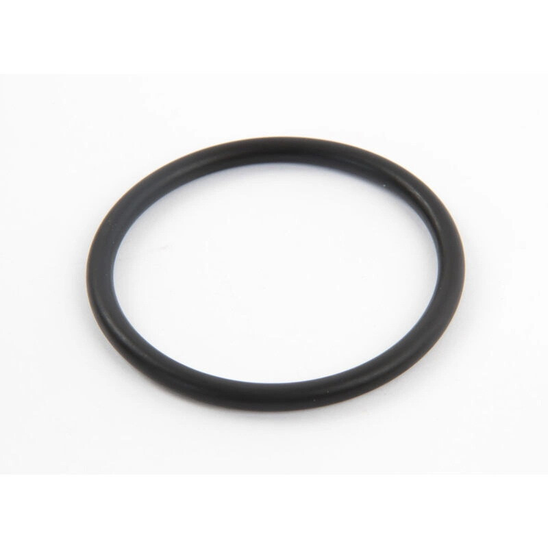 Уплотнительное кольцо Hayward (SX0360Z1) - фото 1 - id-p157395224
