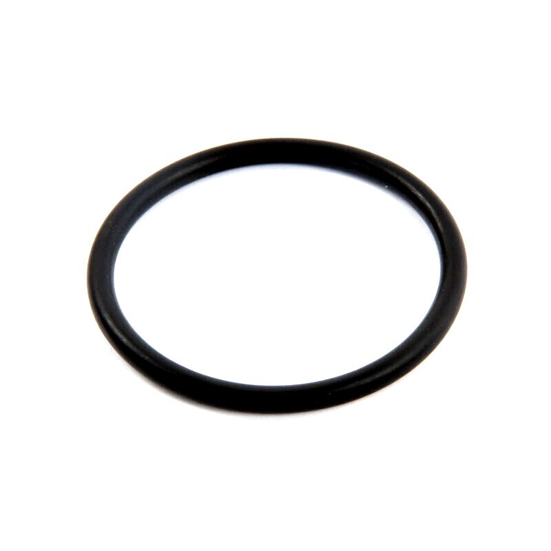 Уплотнительное кольцо для фильтров Hayward Star Clear (CX250F) - фото 1 - id-p157395225
