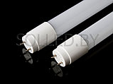 Светодиодная лампа T8 600mm 220V, фото 2