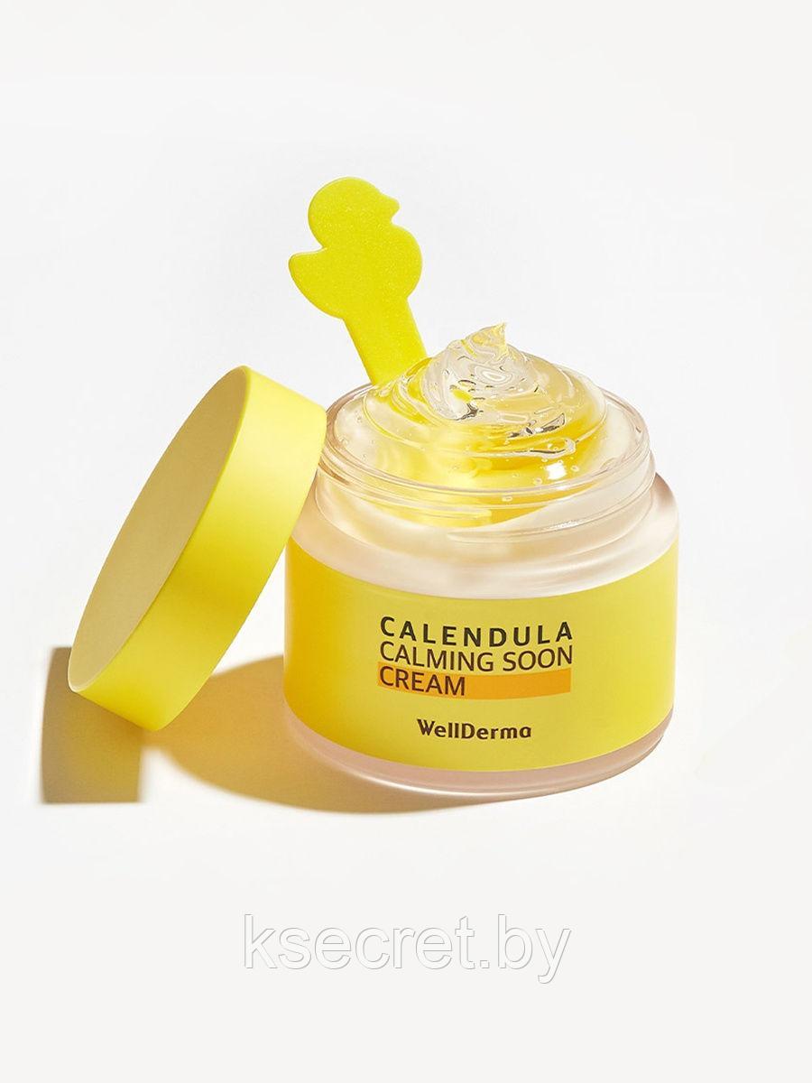 Успокаивающий двухфазный крем с календулой WELLDERMA Calendula Calming Soon Cream 80 мл - фото 2 - id-p157689917