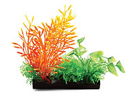 Растения композиция оранжевая 150 мм Laguna (74044167)