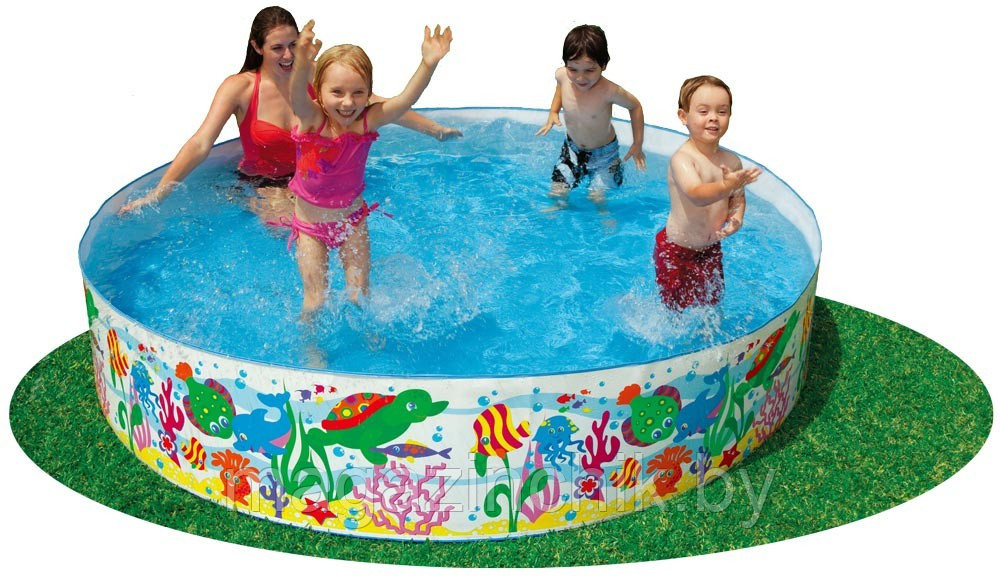 Каркасный детский бассейн Intex 56453 244 x 46 см купить в Минске - фото 1 - id-p1828696