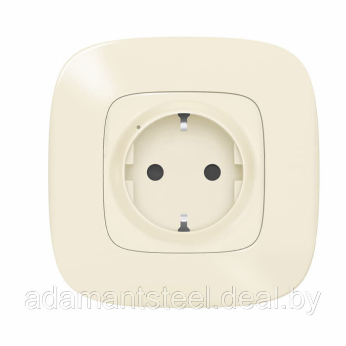 Valena Allure NETATMO - Розетка 2К+З сл.кость - фото 1 - id-p138607683