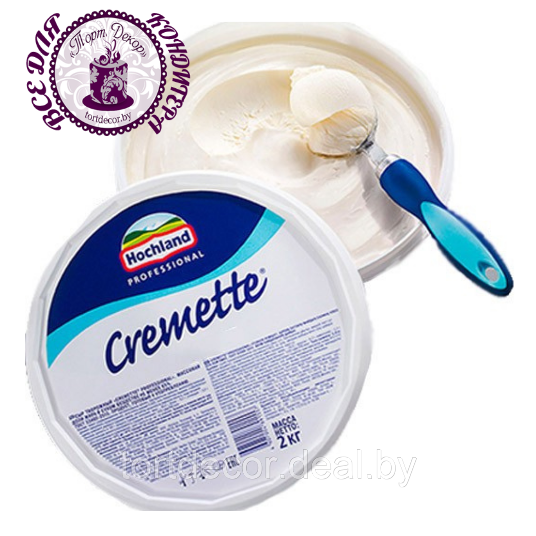 Сыр творожный "CREMETTE PROFESSIONAL" 65% 2кг - фото 1 - id-p157793753