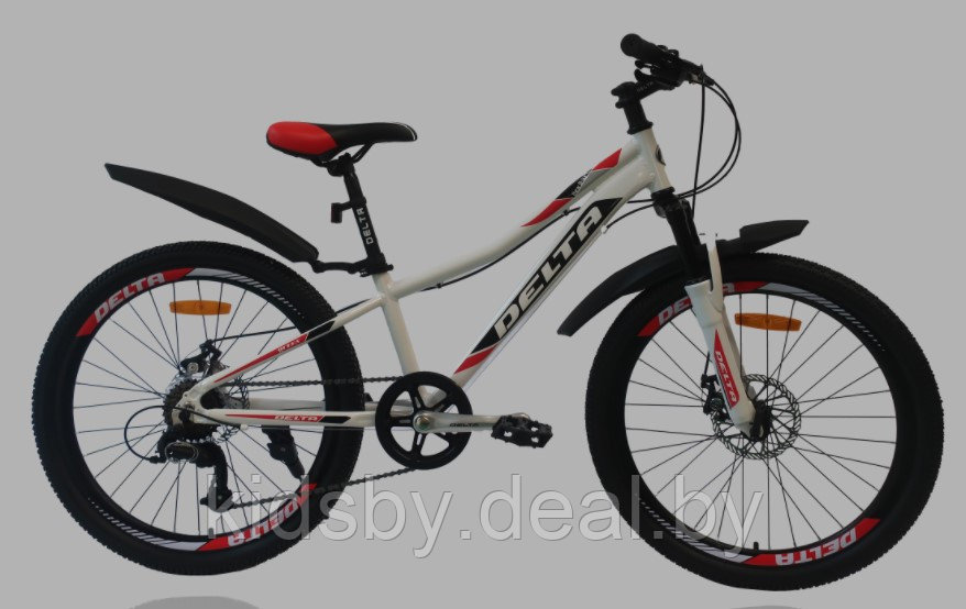 Детский велосипед Delta Queen 24 2021 (алюминий) - фото 1 - id-p154664192